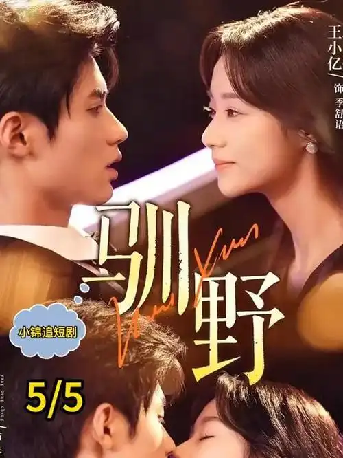 春日访客热播电视剧全集在线观看